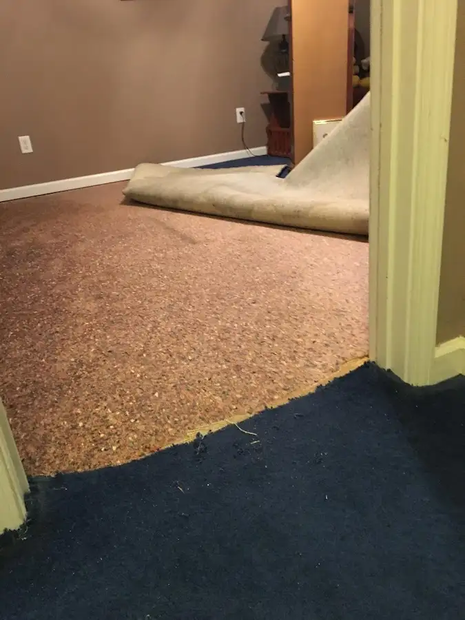 Carpet pad removal revealing water damage during Water Mitigation Services in Sudden Valley